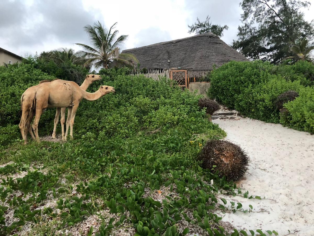 Sunset Beach Resort Watamu Extérieur photo